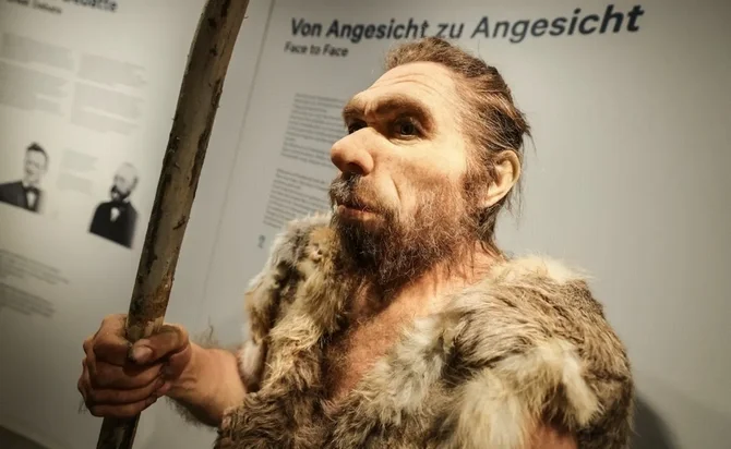 Alimlər neandertalların sənətlə məşğul olduğunu müəyyənləşdirib Xəbər saytı Son xəbərlər və Hadisələr