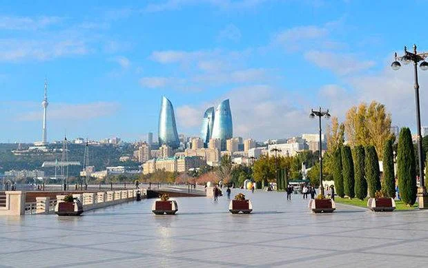 Bakının mərkəzində yırtıcı canlı: Sakinlər təlaş içində ... FOTO