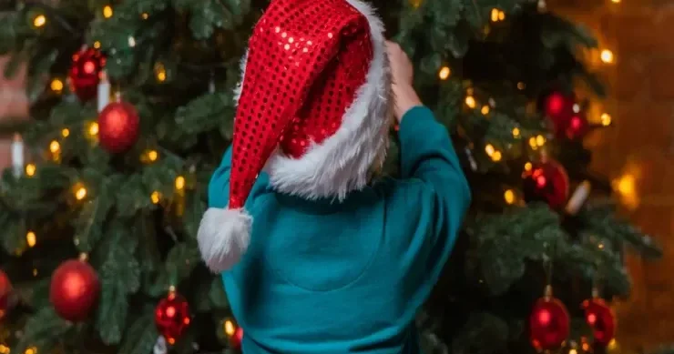 Yolka dan hansı oyuncaqları asmaq olmaz? At ili onları sevmir