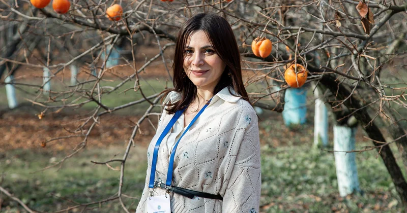 Talış dağlarından ipək şəhərinə: Lənkəranlı qız Şəkidə nə tapdı?