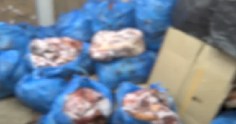 DİN və AQTA birgə tədbir keçirdi 1 tondan artıq yararsız at əti aşkar olundu (VİDEO)