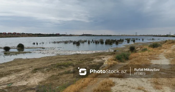 Абшеронское озеро вышло из берегов, затоплены дома и подвалы местных жителей