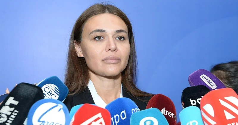 Грузинский медиапроект отметил важность сотрудничества с азербайджанскими СМИ Minval Politika