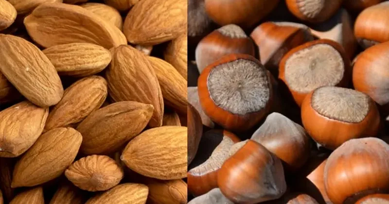 Azərbaycan Çinə fındıq və badam ixracını artıracaq