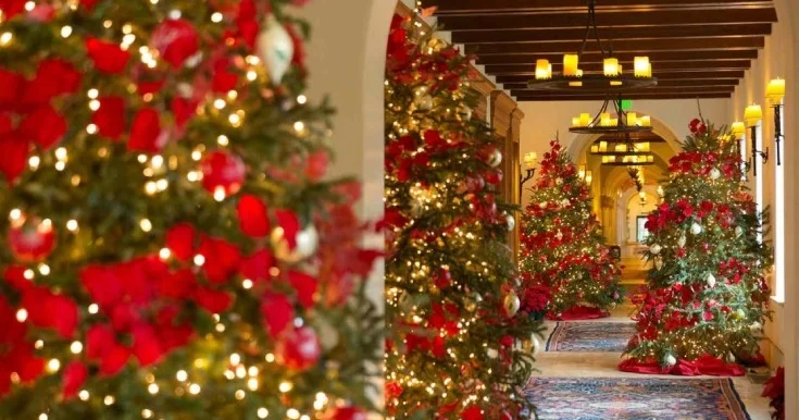 Sizi şaxta yox, bu qiymətlər donduracaq