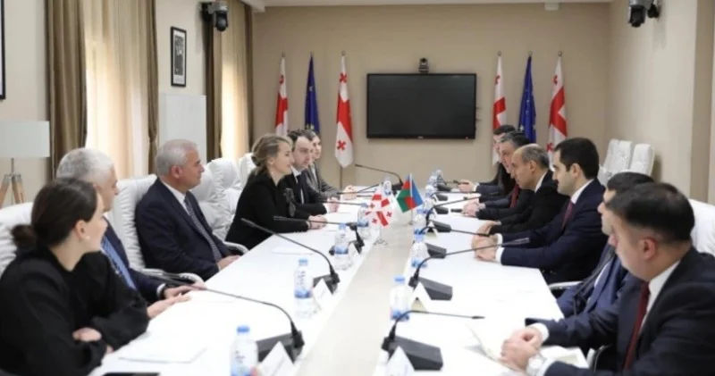 Azərbaycan və Gürcüstan birgə kollecin yaradılmasını müzakirə edir