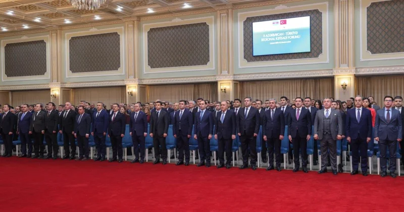 Türkiyə Naxçıvanda iqtisadi imkanlarını gücləndirir