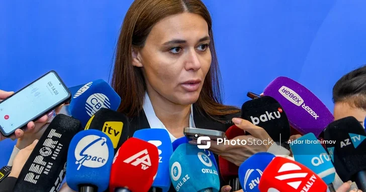 Грузия заинтересована в инновационных медиарешениях Азербайджана