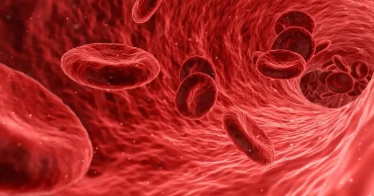 Dəmir çatışmazlığının səbəbləri və müalicəsi fərqlidir