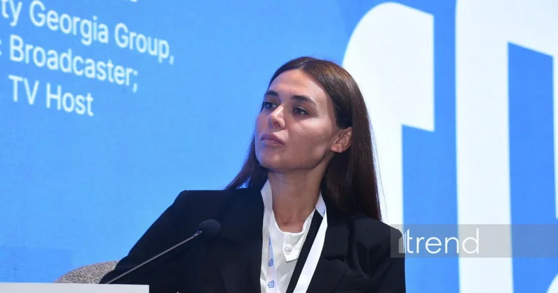 Вопрос лицензирования систем ИИ станет одной из важнейших тем Рамилия Алиева