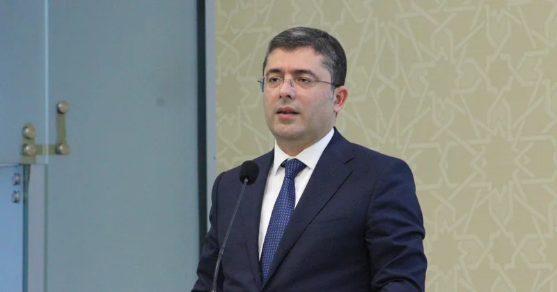 Азербайджан и Грузия могут реализовать совместные проекты против глобальных информугроз Агентство развития медиа