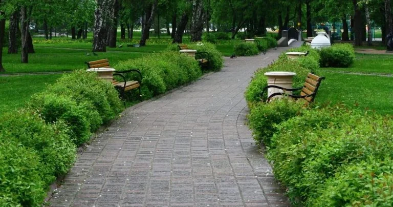 В Физули появится новый парк