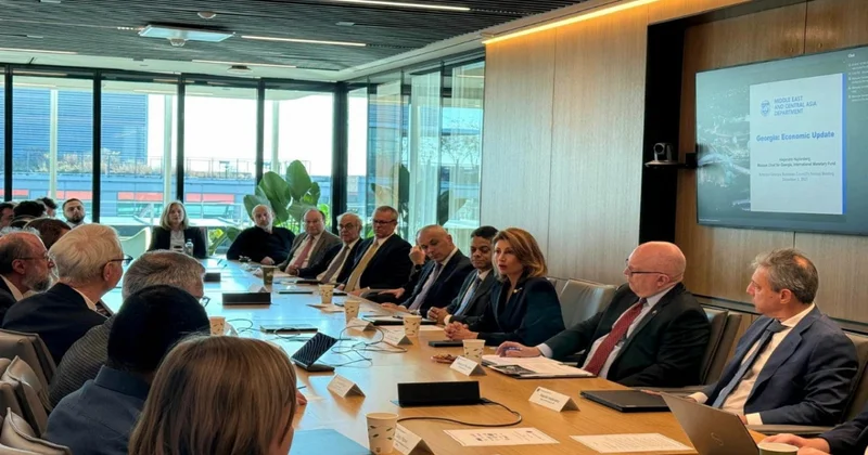 Gürcüstanın ABŞ dakı səfiri TRIPP layihəsinin önəmindən danışıb