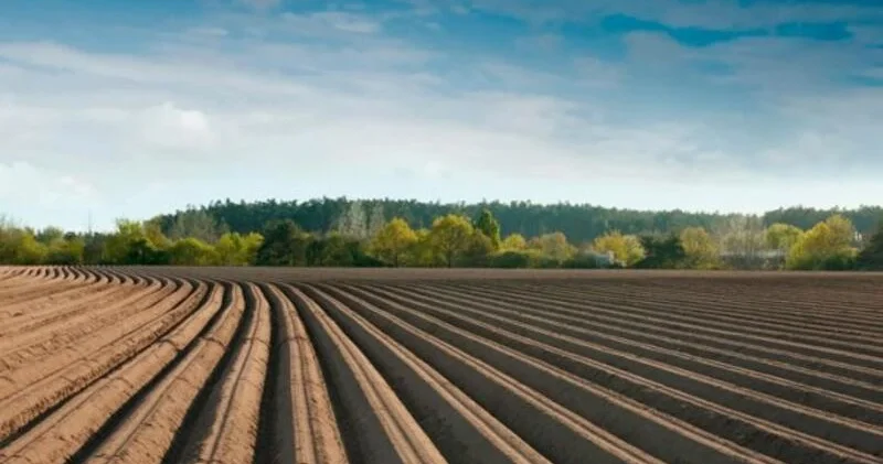 “Torpaq Məcəlləsinə” dəyişikliklər təklif edilir