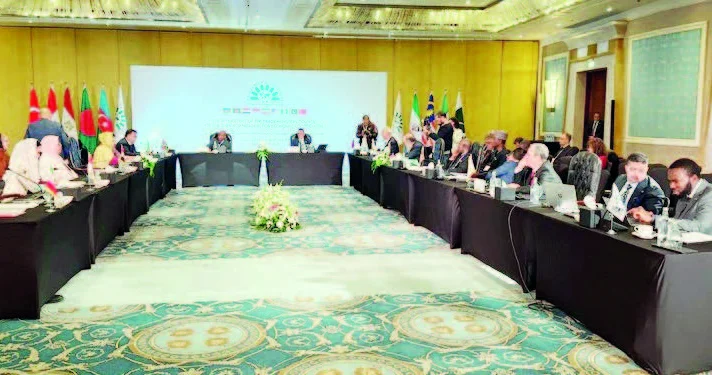 Qahirədə D 8 ölkələri ticarət nazirlərinin görüşü