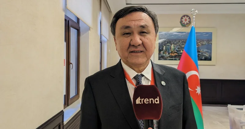 Страны ОТГ расширяют сотрудничество в сфере труда, занятости и соцзащиты генсек