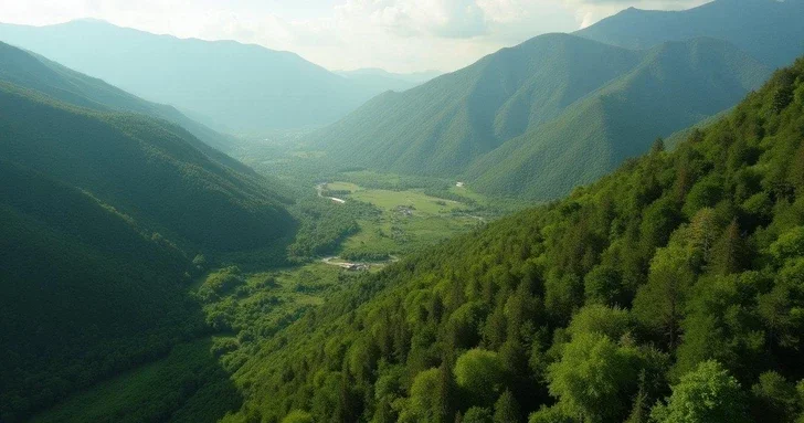 Возрождение зеленого наследия: 132 гектара новых лесов на освобожденных землях Азербайджана