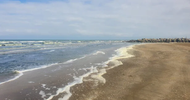 Xəzərin səviyyəsi 21 metrədək aşağı düşə bilər alimlərdən ciddi xəbərdarlıq