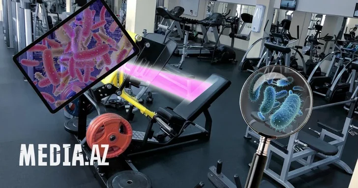 Бактерии на штанге: чем можно заразиться в бакинских тренажерных залах и как себя защитить?