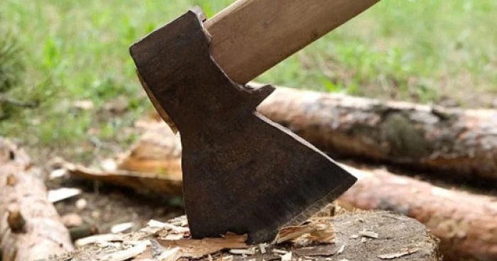 Təbiətə 36 min manatdan çox ziyan dəyib