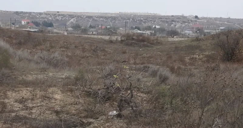 Ləhiş bağlarında torpaq qalmaqalı: Qazilər onlara ayrılan sahəyə niyə girə bilmir?