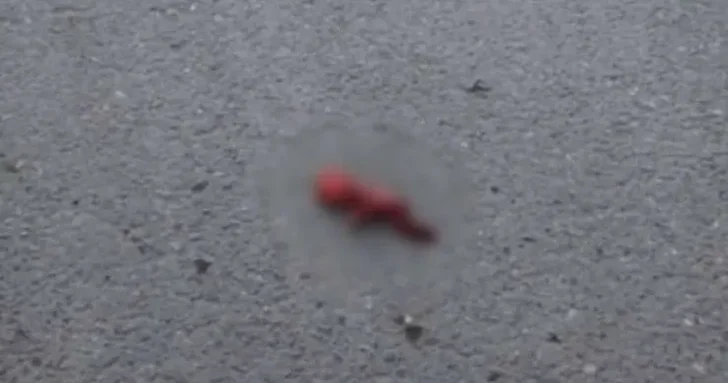 На территории бакинского медцентра обнаружен мертвый плод проводится расследование