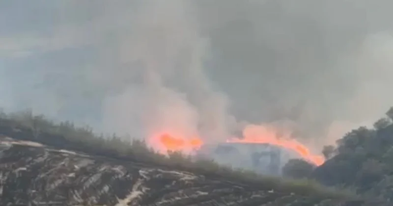 Zəngilandakı yanğına səbəb olan vəzifəli şəxs: “Arılara tüstü vermək istəyirdim“