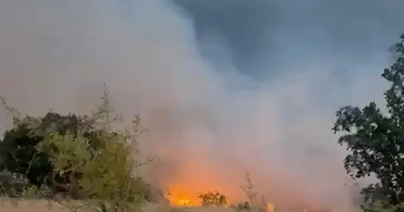 Zəngilanda 6 min hektar ərazidəki yanğını məmur törədibmiş Hökm oxundu