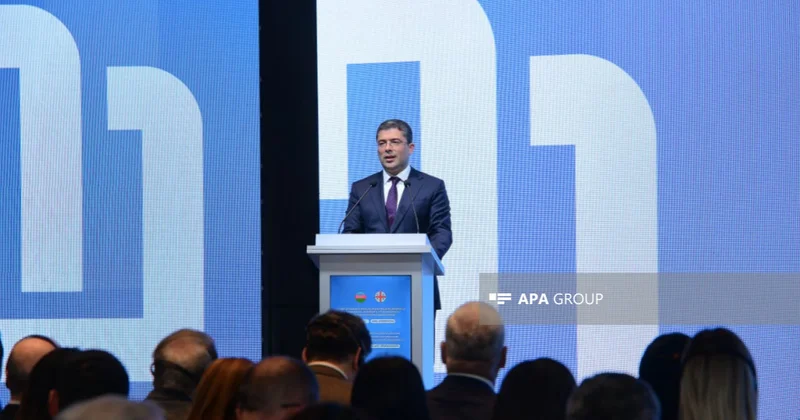 Əhməd İsmayılov: Azərbaycanla Gürcüstanın media qurumlarının əməkdaşlığı vacibdir