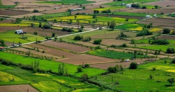 Aqrar təyinatlı torpaqlarda tikililər barədə fərman verilib