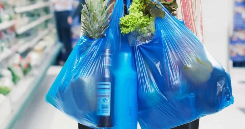 “Əhali polietilen torbaları boykot etməlidir...” Ekspert