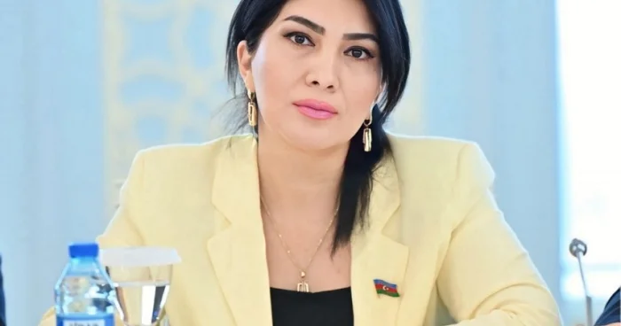 Deputat “Türkçülük işığında” mövzusunda ustad dərsi keçdi