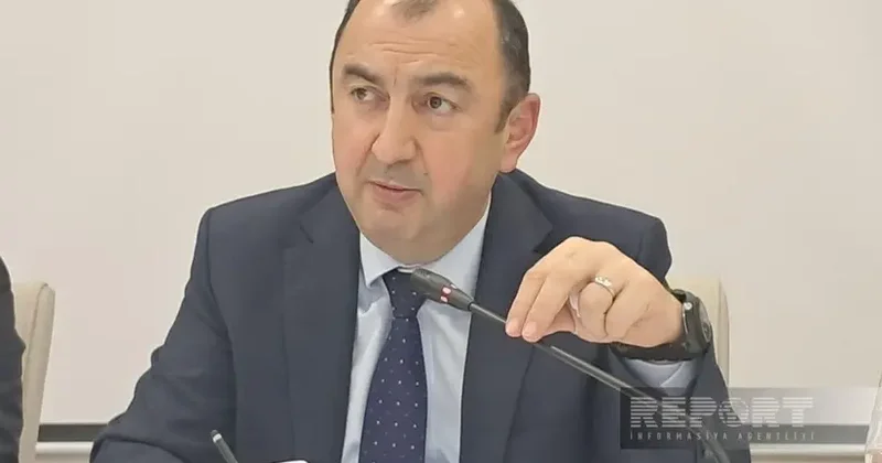 Azad edilmiş ərazilərdə 132 hektar yeni yaşıllıq sahəsi salınıb Vüqar Kərimov