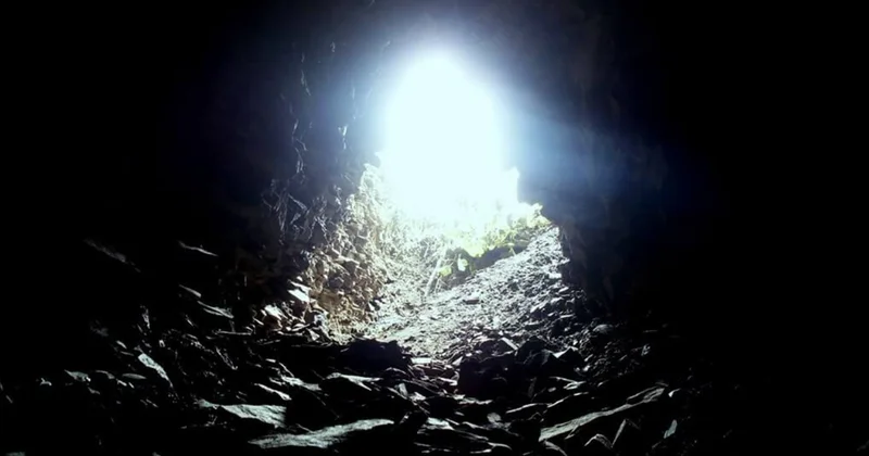 “Ölüm anında görünən uşıq: elm və şüurun sərhədindəki sirr“ Elmi araşdırma