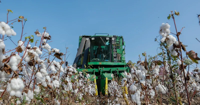 Тенденции и итоги сезона