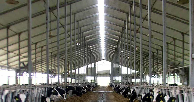 Kənd təsərrüfatı torpaqlarında müvəqqəti tikililər barədə məlumatlandırma qaydaları təsdiqlənib