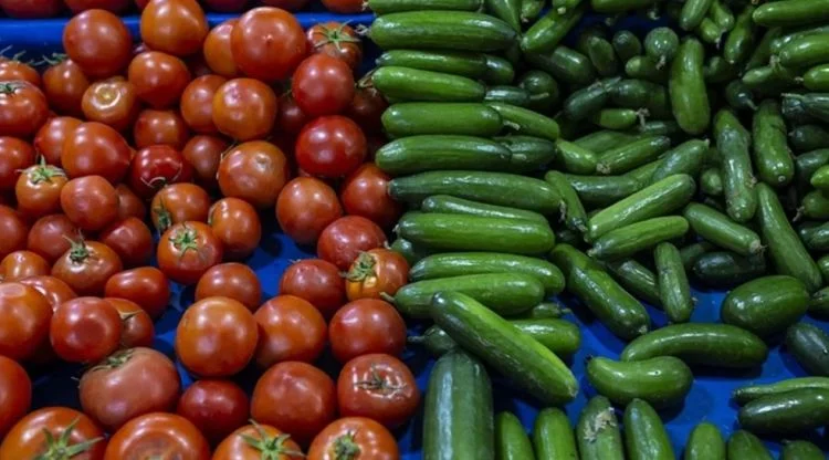 Pomidor və xiyarı birlikdə yeməyin zərərləri açıqlandı