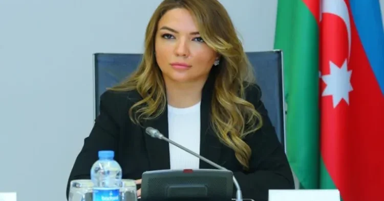 İcraçı direktor vəzifəsi ləğv edildi Aygün Əliyevaya yeni vəzifə verildi