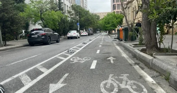 Prezident: Bəziləri velosiped zolaqlarının yaradılmasından narazıdır. Amma ...