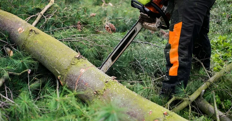 В 2025 году за экологические правонарушения применены штрафы на 3,8 млн манатов