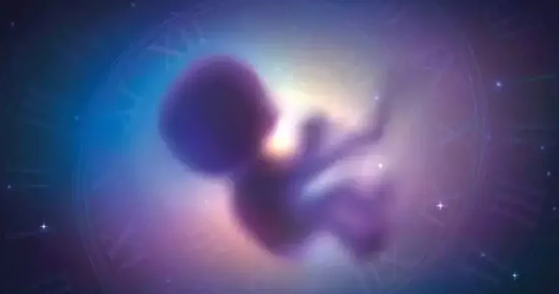 2026 cı ildə trend olacaq yeniliklər: Kosmosda doğulacaq ilk körə...