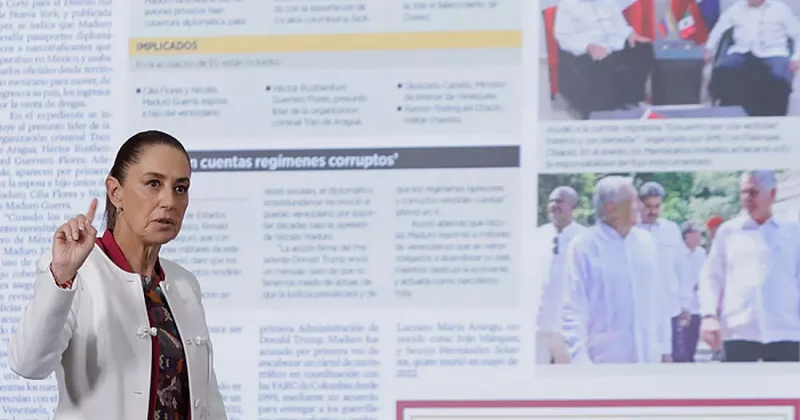 Шейнбаум выступила против силы в решении международных проблем