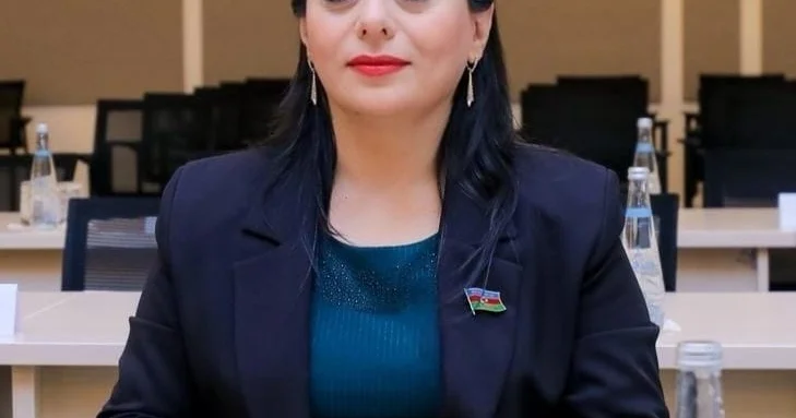 Milli maraqlar və inkişaf dövlətimizin strateji mövqeyidir