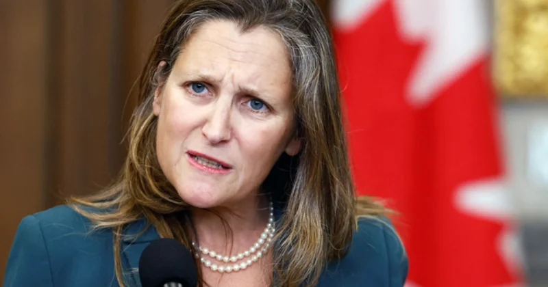 Əcnəbi vətəndaş Zelenskinin müşaviri oldu