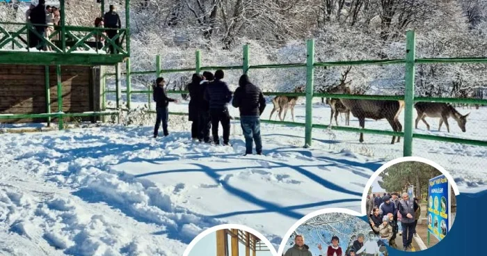 Bayram günlərində milli parklarda müxtəlif tədbirlər təşkil olunub