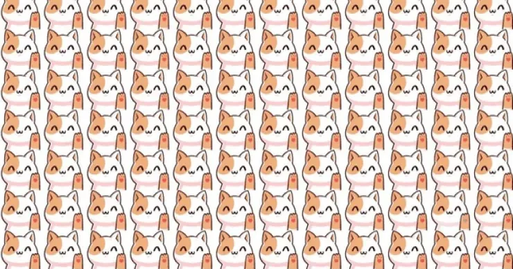 TEST: Şəkildəki qeyri adi pişiyi 9 saniyədə tapın