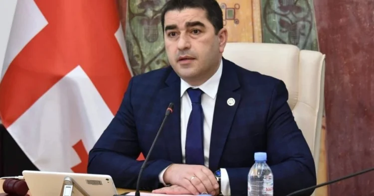 Papuaşvili Qərbin siyasətini tənqid edib