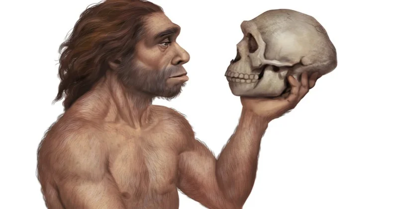 Гены неандертальцев продолжают влиять на здоровье современного человека