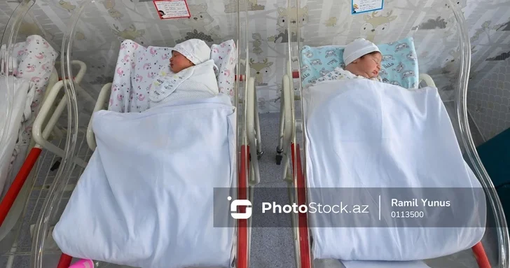 Волчий советник или Пчела : почему азербайджанские родители выбирают европейские имена?