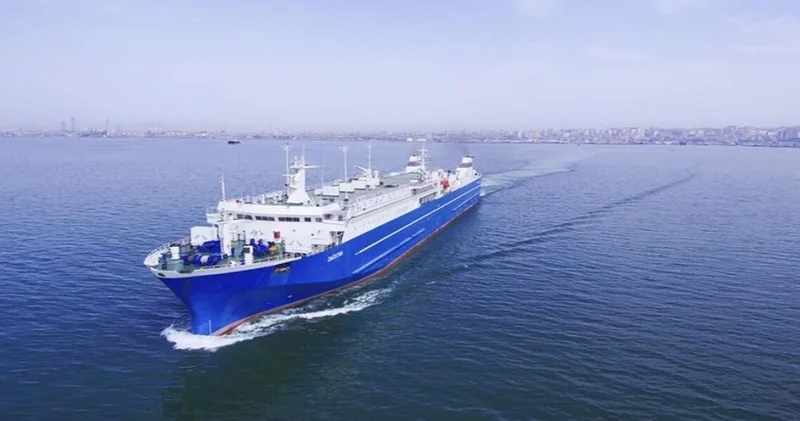 В ASCO работает около 8 тыс. сотрудников